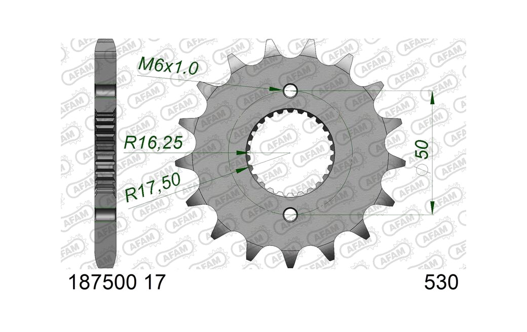 piñón de acero estándar 1875001-530