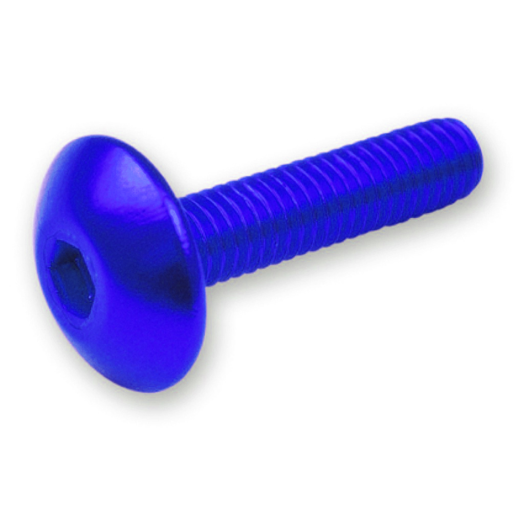blister kit 6 tornillos allen carenado
