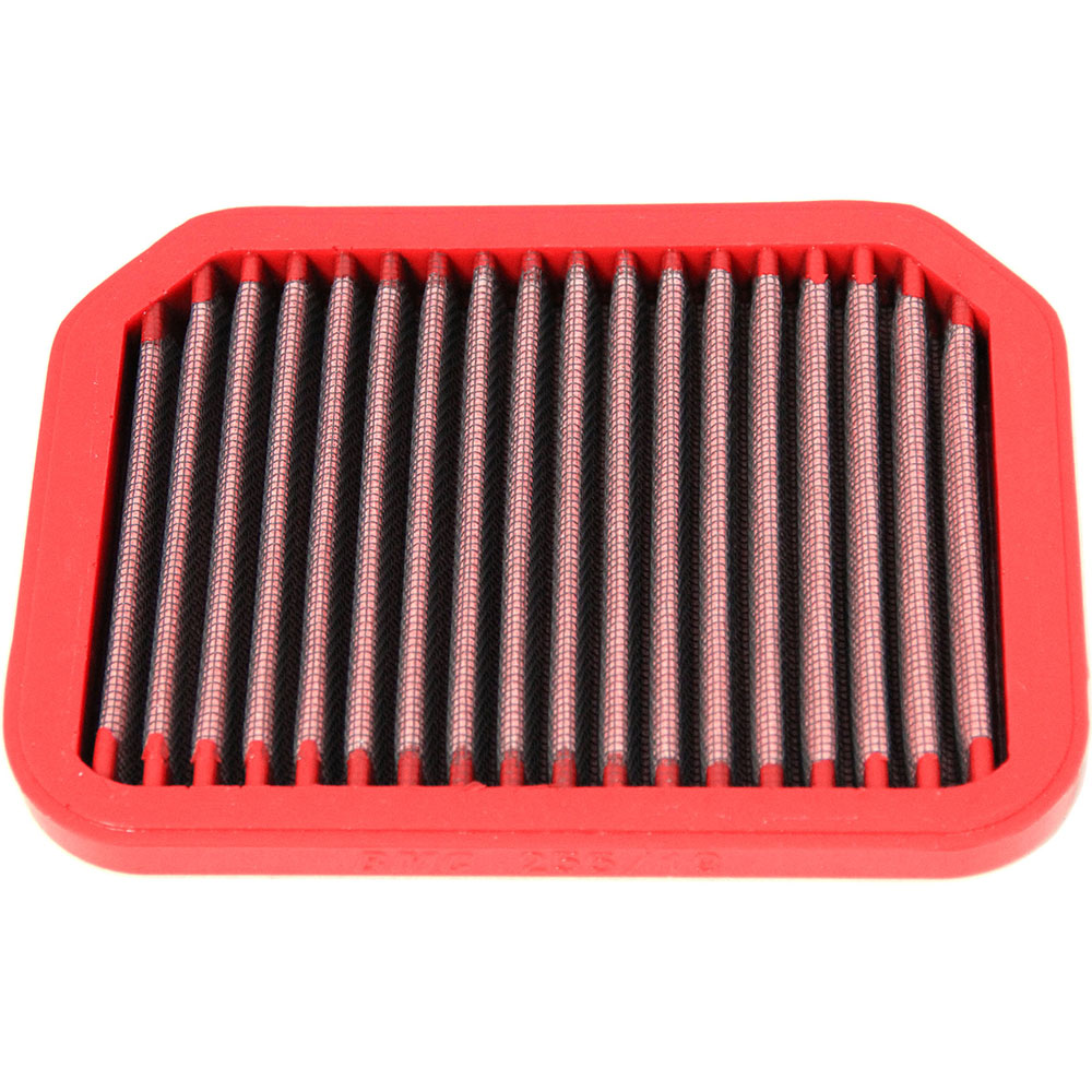 filtro de aire fm255/19