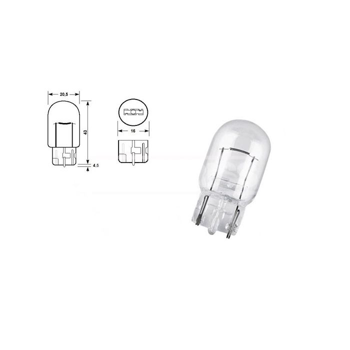 caja 10 lámparas sin casquillo 12v 21w