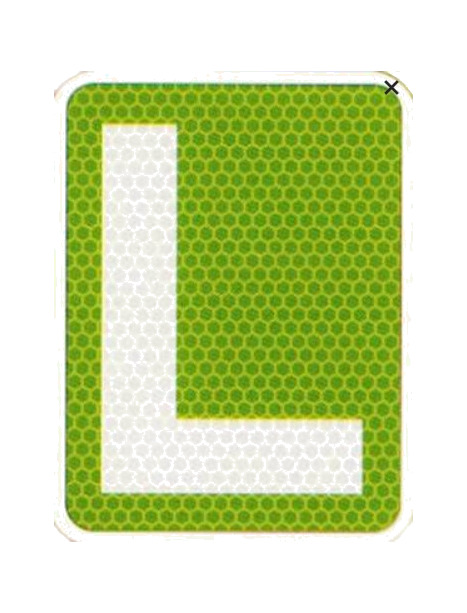 CARPRISS Nuova targa pilota "L" per auto V-13 150X195 MM - Foto 1 di 1