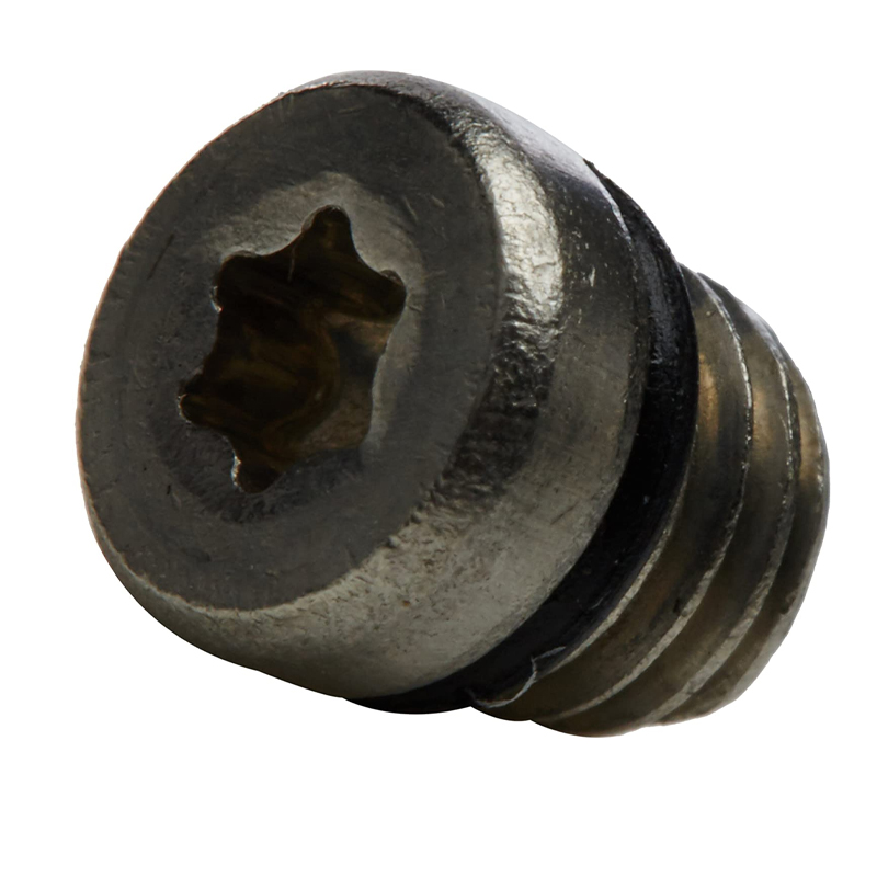 kit tornillo/torica de purgado inoxidable  (20u)