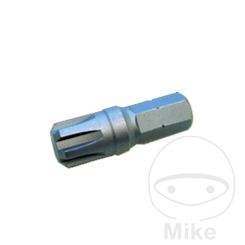 punta de destornillador para tornillos ribe m12 10 mm 40 mm