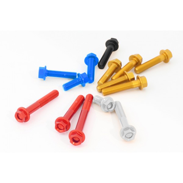 tornillo ergal ter m6x10