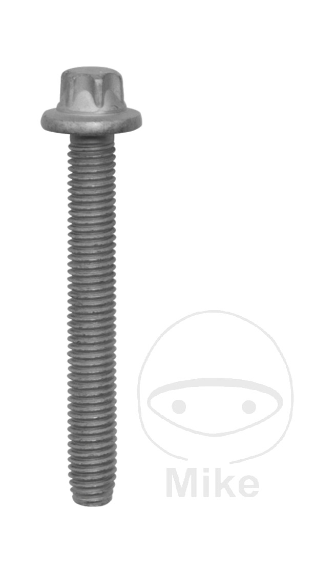 tornillos para soporte de barra giratoria m8x63mm 10
