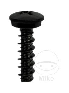 tornillos de cabeza cruz para plástico 10