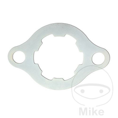 chapa de seguridad protector piiñón