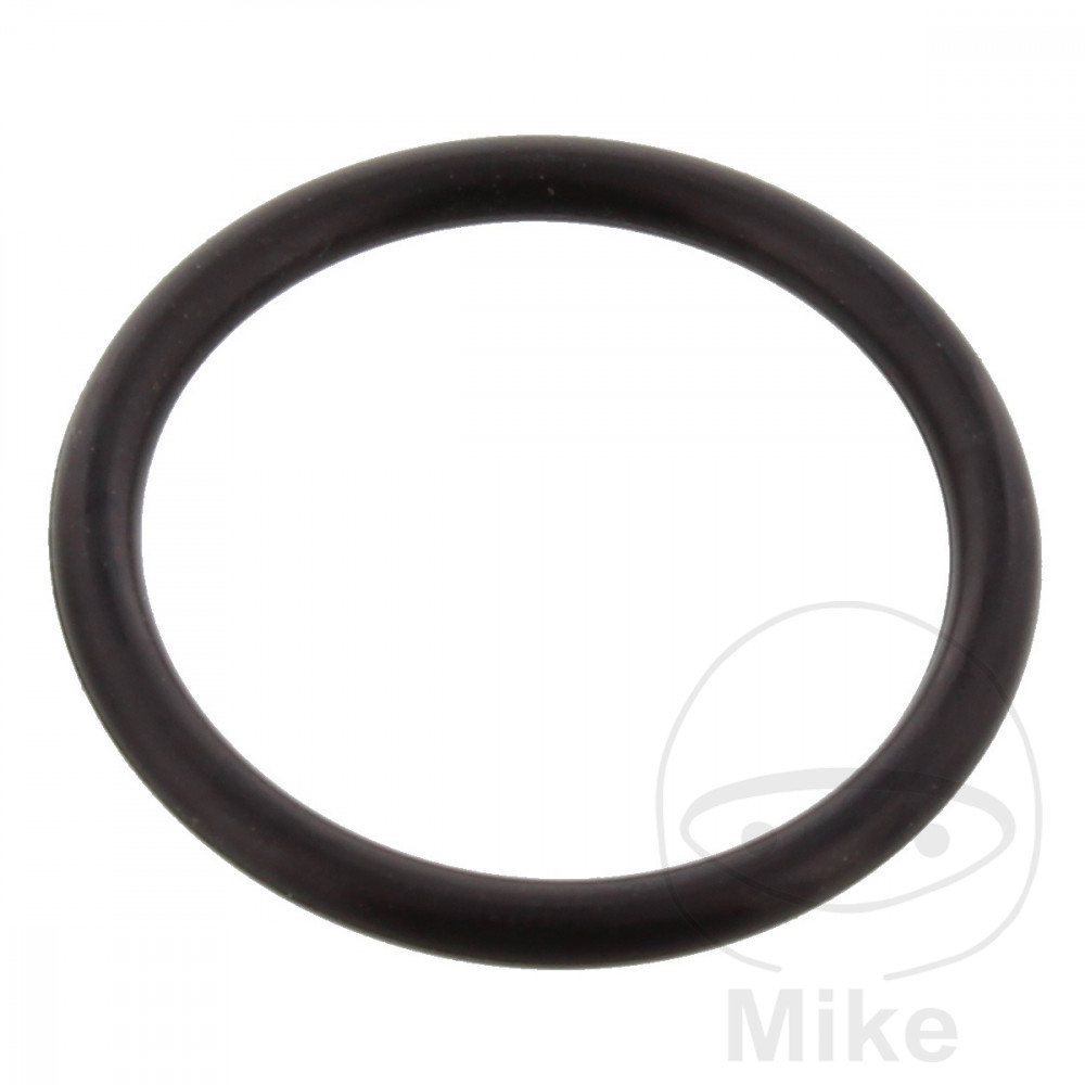 JMP Timing chain tensioner gasket 2.5 X 22 MM - Picture 1 of 1