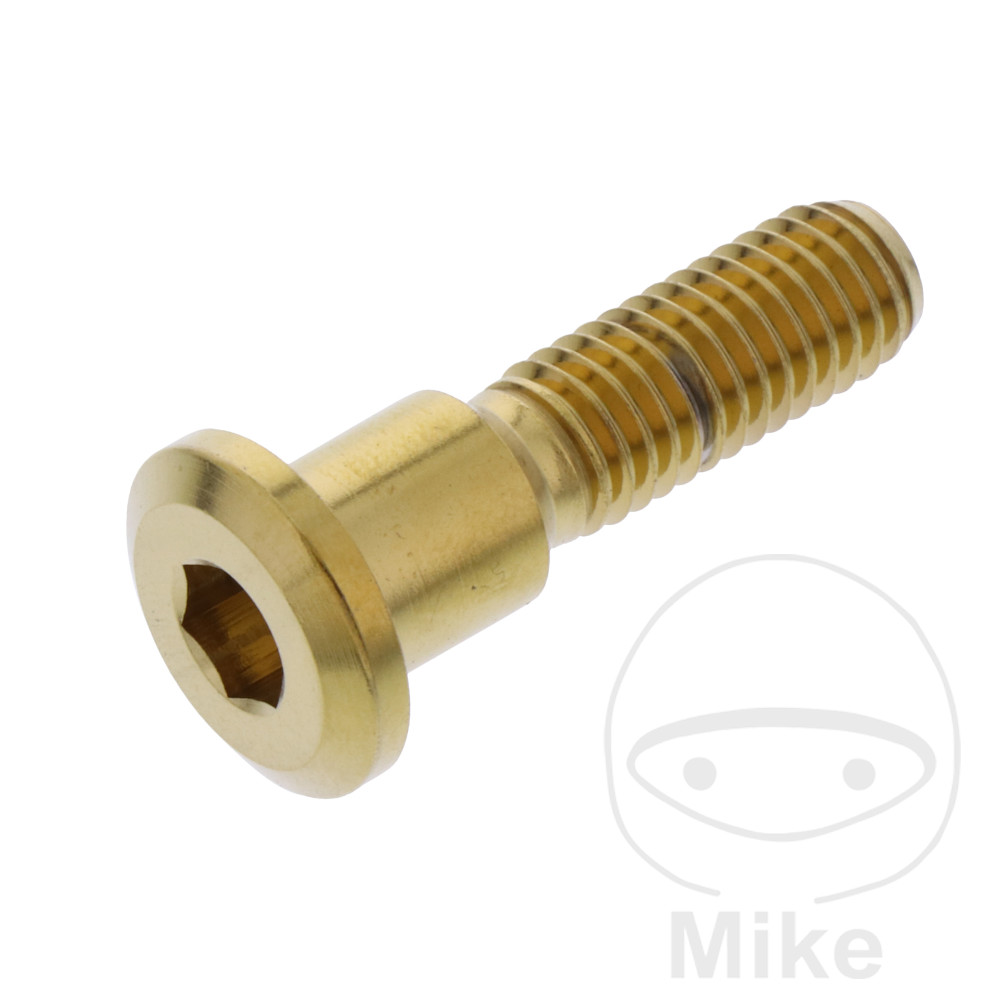 Vis Titane Pour Disque De Frein Arrière M8x1.25 - Pour Yamaha XV 1600 A Wild Star 1999-2004 - Pro Bolt