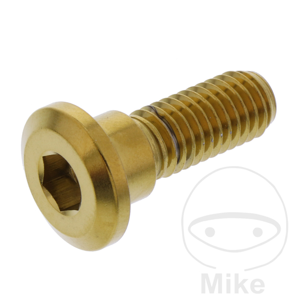 JMP Tornillo para disco de freno M8X1.25 MM 24 MM INOX V4A - Imagen 1 de 1