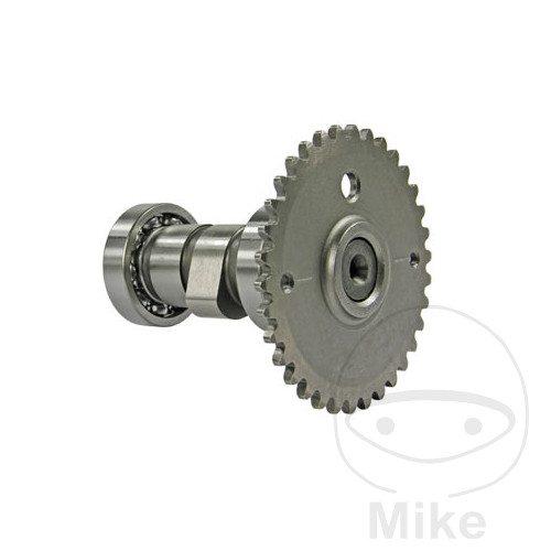 22118-Camshaft compatible with MOTOWELL YOYO 50 4T CV 2,2 KW