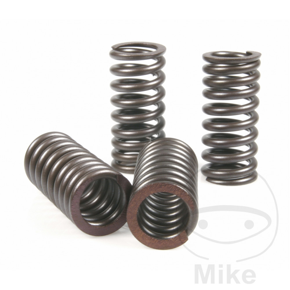 MALOSSI Valve Spring Set - Picture 1 of 1