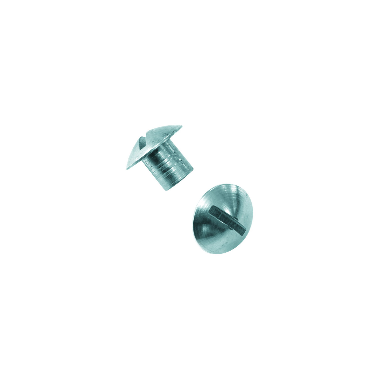 tornillos con cabeza redondeada (4 pcs) -xr line