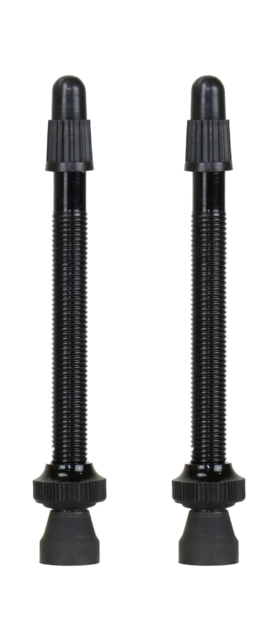 válvula tubeless (2uds)