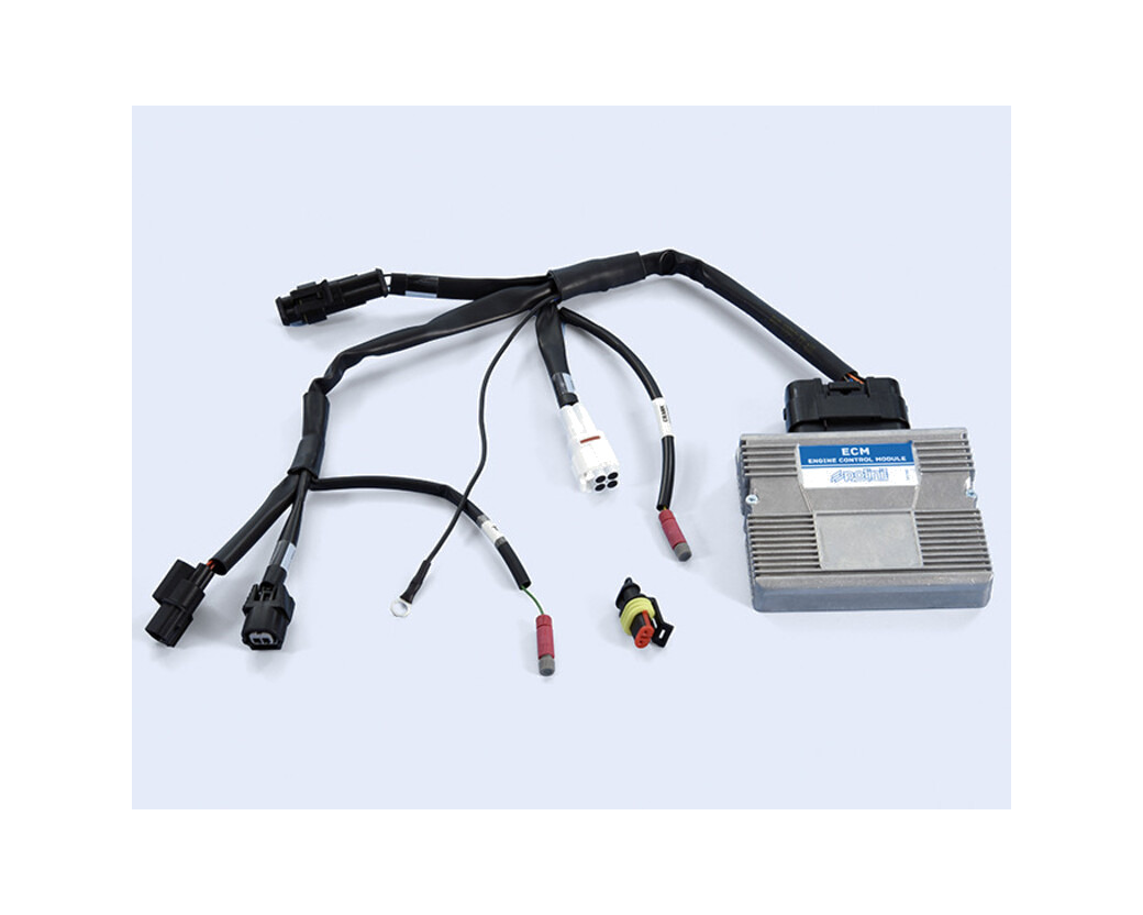 centralita electronica ecu