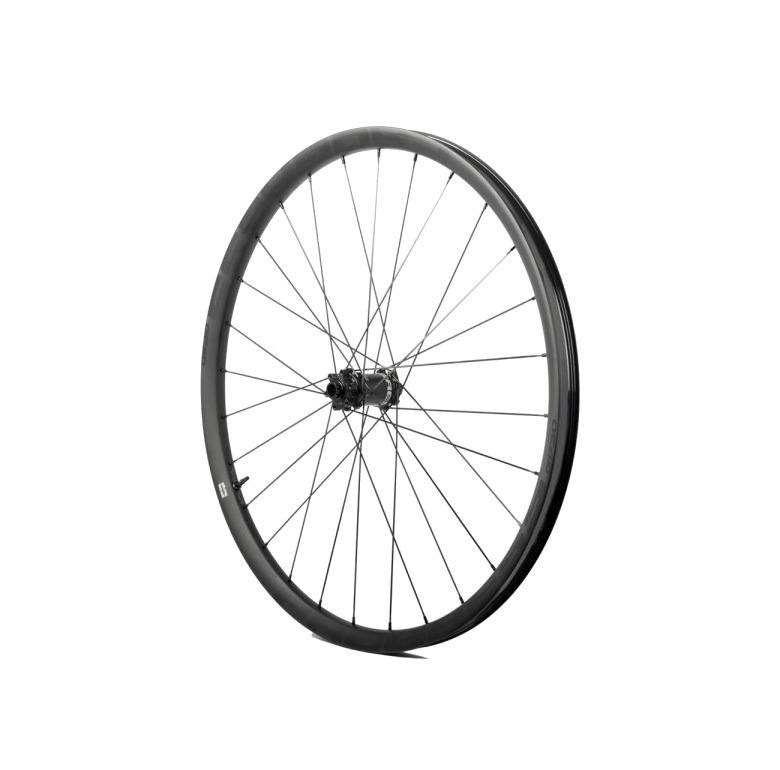 rueda delantera gp30 29 15x100