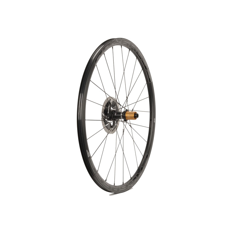rueda trasera sonic disc 12x142 campagnolo n3w