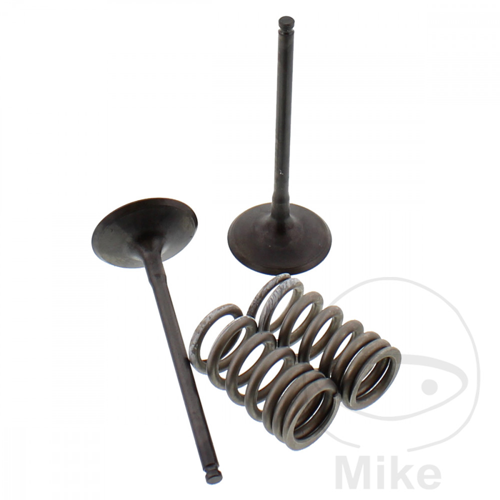 PROX Game intake valve + springs - Picture 1 of 1