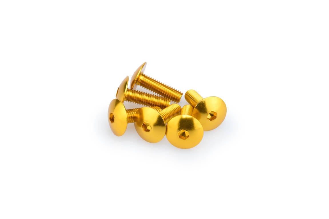 pack blister de 6 tornillos de aluminio cabeza abombada m6 x 20mm