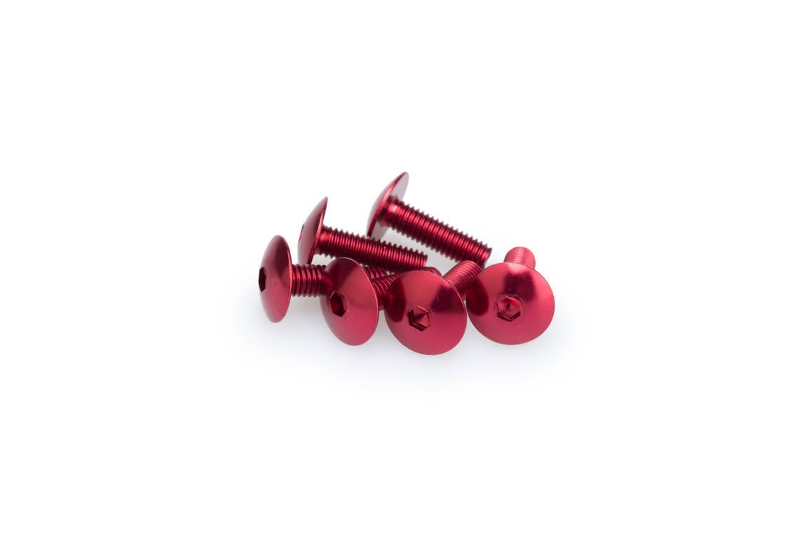 pack blister de 6 tornillos de aluminio cabeza abombada m6 x 20mm