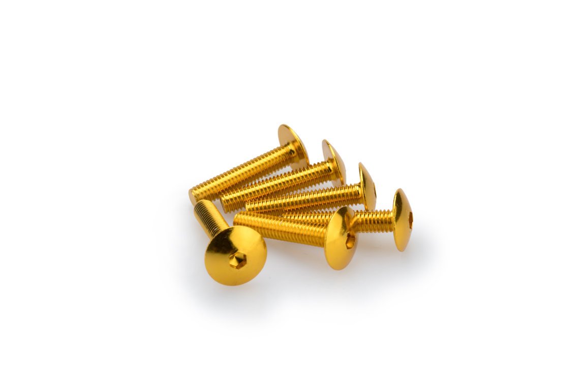pack de 6 tornillos de aluminio de cabeza abombada m6 x 30mm
