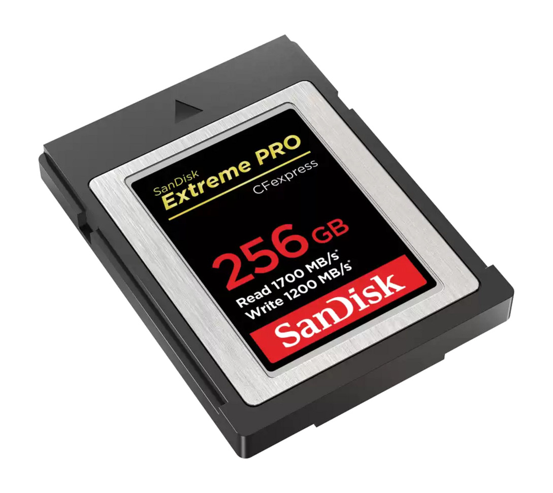 tarjeta de memoria para cámara cfexpress-type b 256gb sdcfe-256g-gn4nn