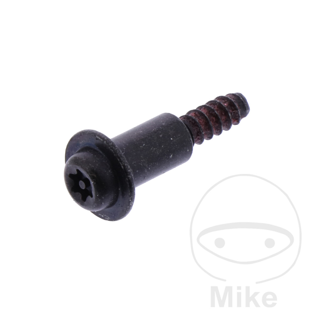 SIN MARCA Screw for ignition lock OEM - Picture 1 of 1