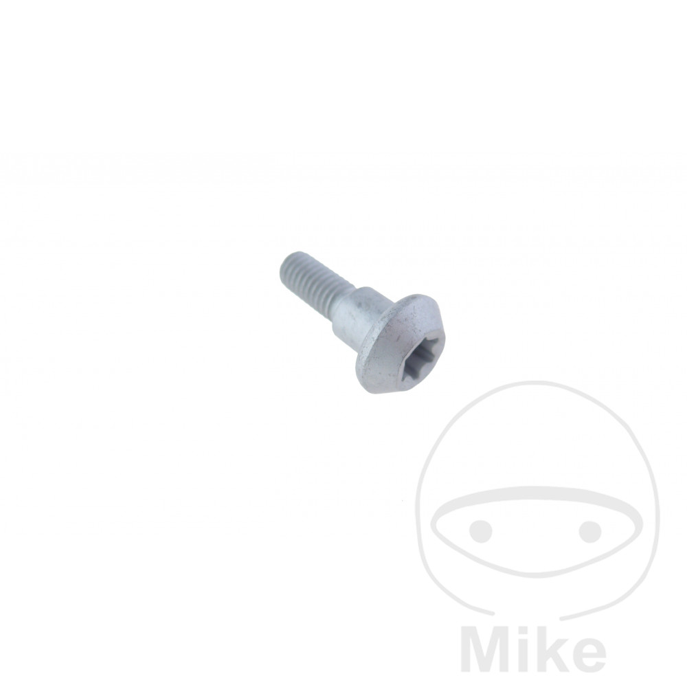 SIN MARCA Remschijf schroef OEM M6X1.0 20 MM - Picture 1 of 1