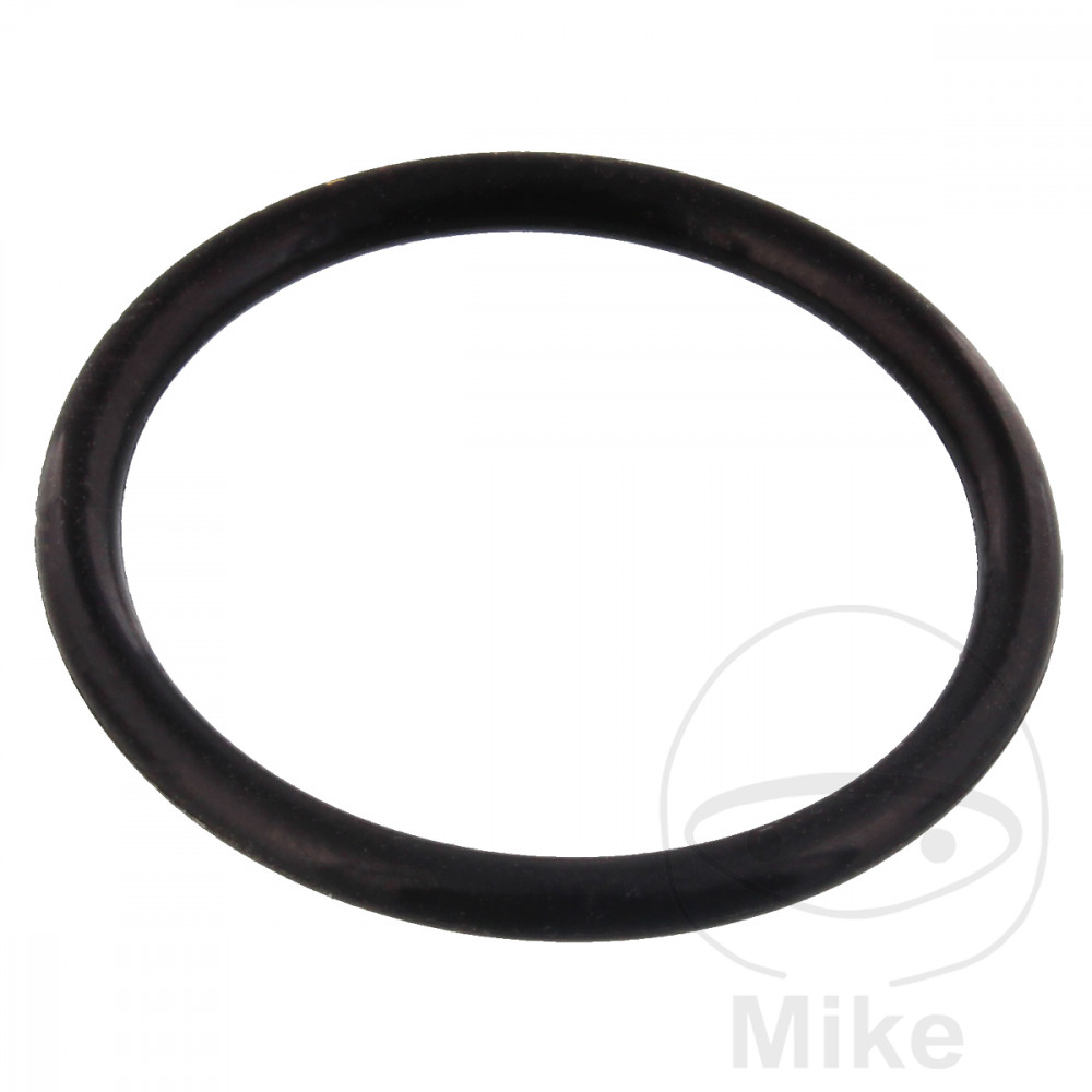 SIN MARCA Joint de tendeur officiel de chaine de distribution 1.9 X 18.8 MM OEM