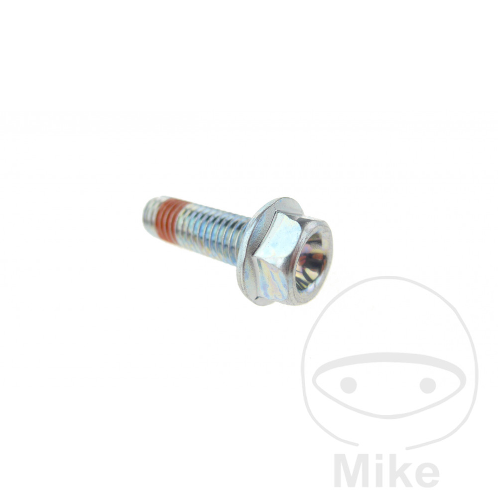 tornillo pinza freno oem m8 x 1.25 25 mm