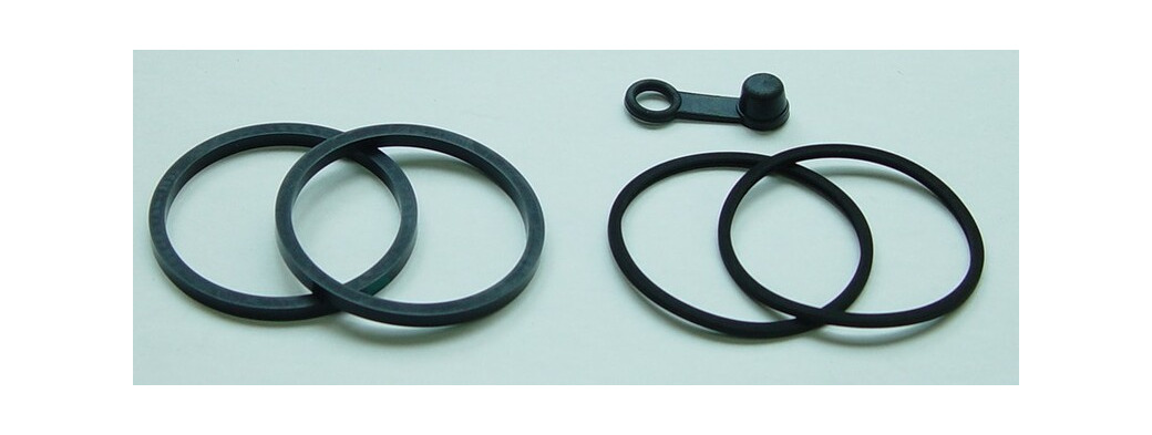 kit reparacion pinza de freno trasera