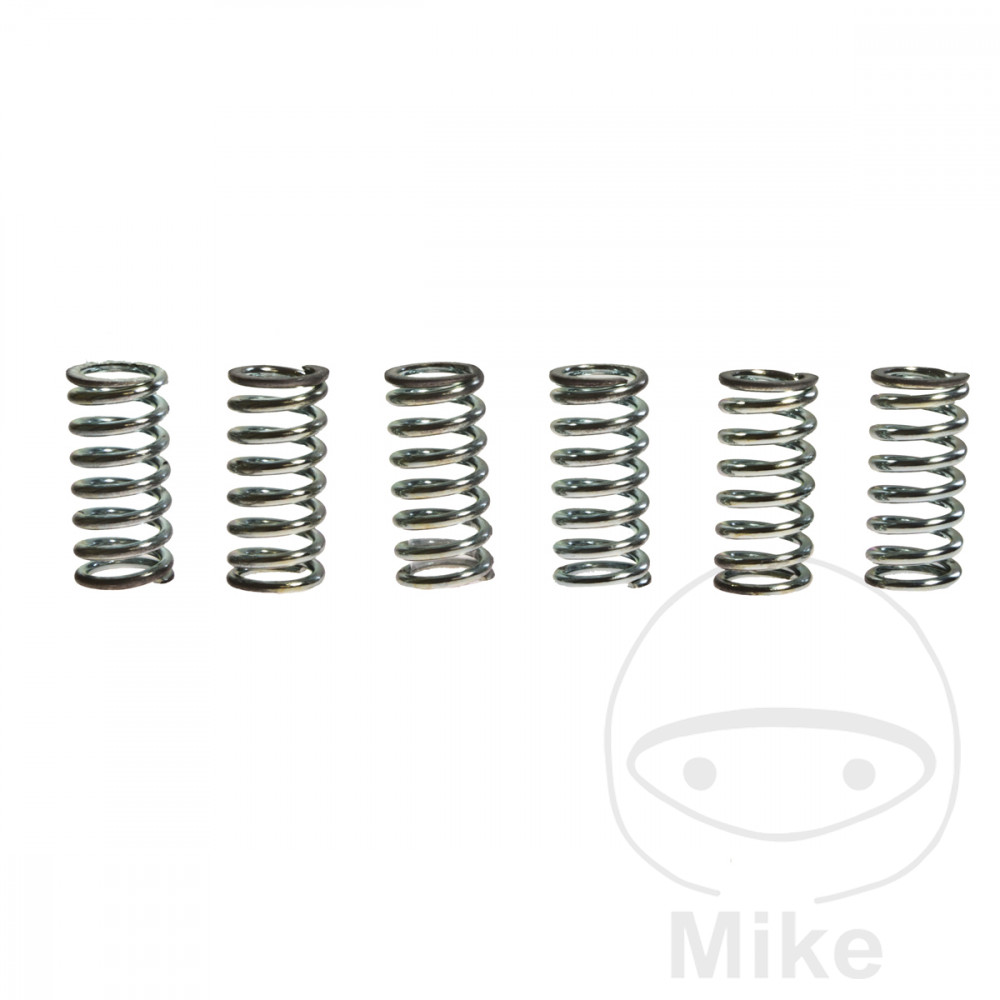 TRW 6 Reinforced Clutch Springs Kit - Picture 1 of 1