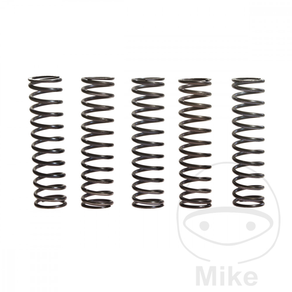 TRW Kit 5 reinforced clutch springs - Picture 1 of 1