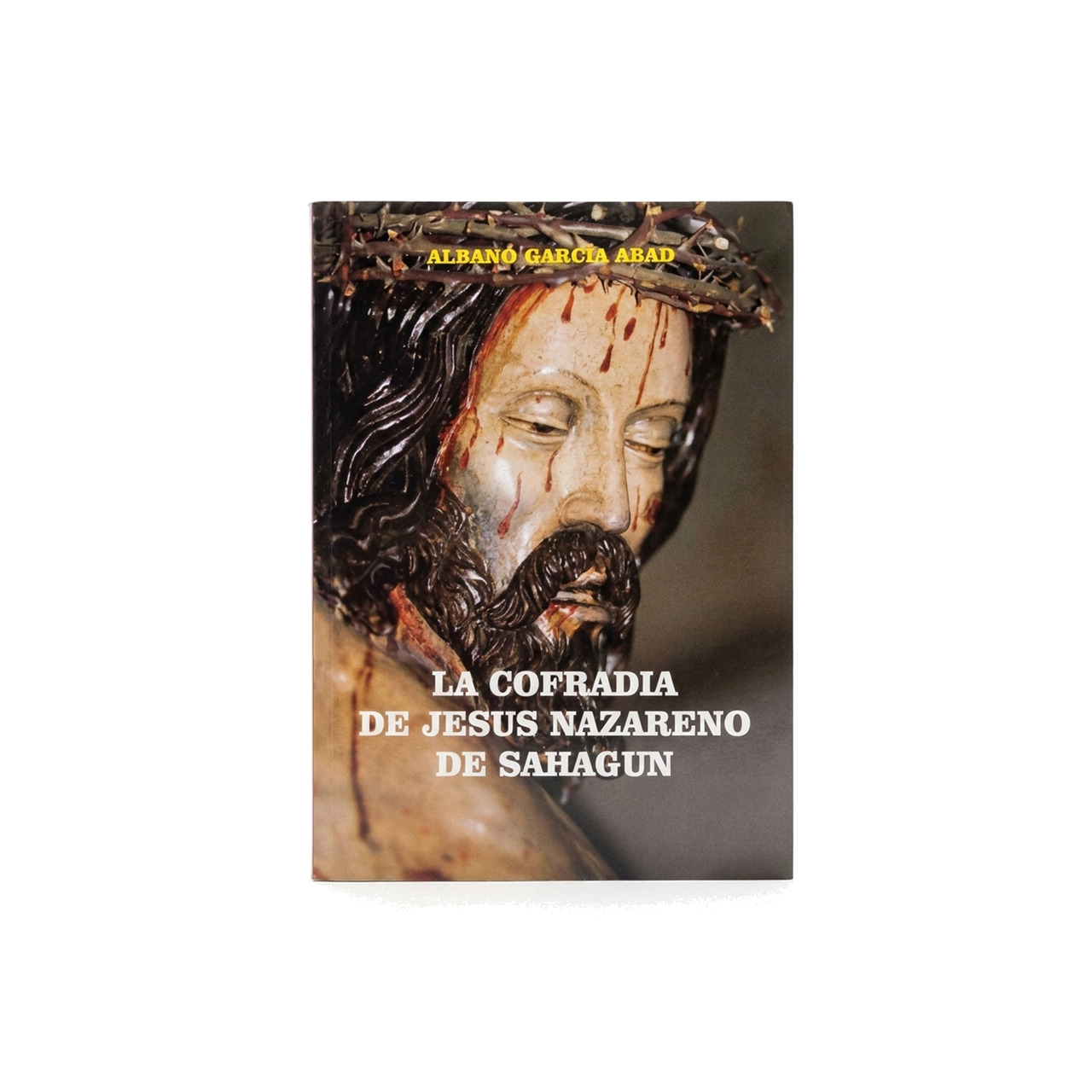 libro cofradía de jesús nazareno de sahagún - historia, religión, semana santa