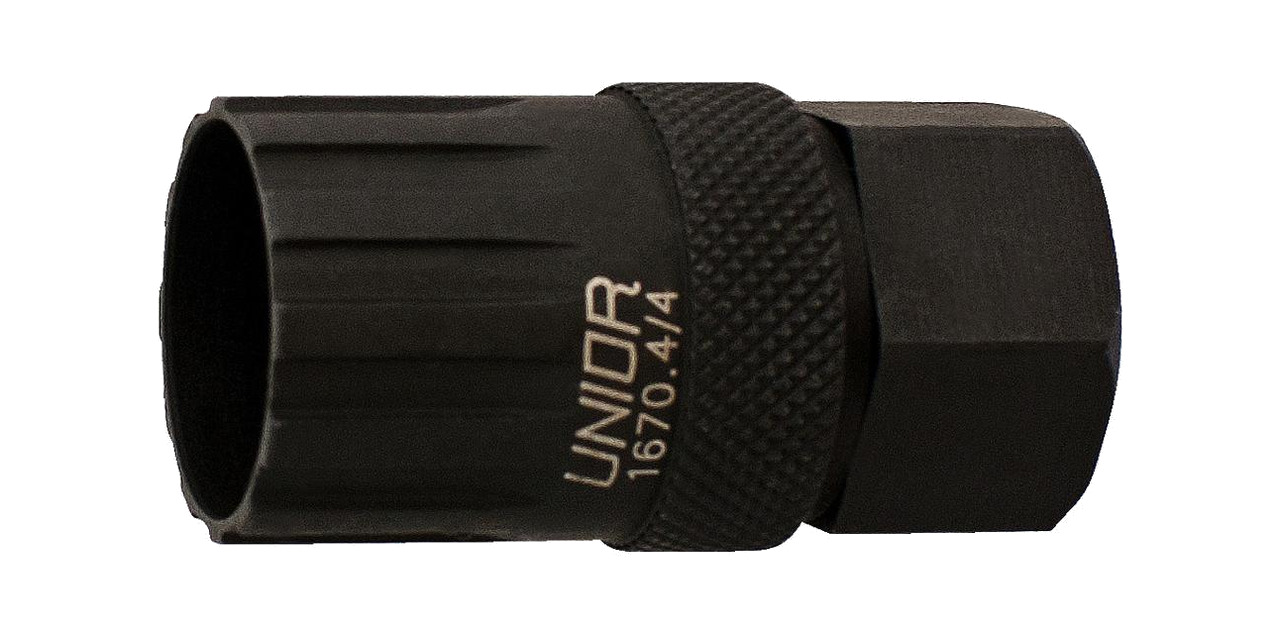 extractor de piñón compagnolo